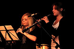 Foto vom Hausmusikabend 2011 des TGG