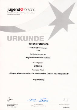 Scan der Urkunde von Sascha Feldmanns