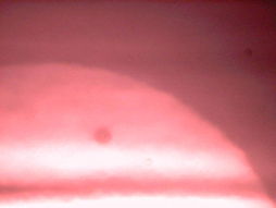Foto von der Beobachtung des Venustransits 2012