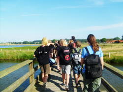 Fahrt der Segel-AG des TGG nach Hohwacht 2008: Wunderschöne Spaziergänge durch ein Naturschutzgebiet zu unserem Segelrevier (I)