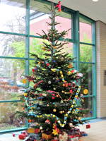 Foto des Weihnachtsbaums 2011