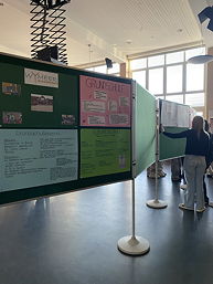 Das Foto zeigt Schülerinnen und Schüler vor den Stellwänden mit den Plakaten.