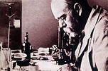 Foto von Robert Koch, der durch ein Mikroskop blickt