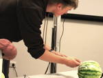 Foto vom einminimalinvasiven Eingriff an einer Melone